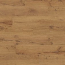 Alpine Oak Nature